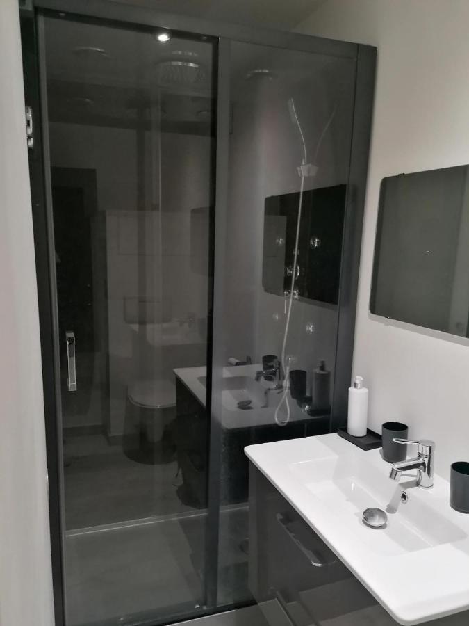 Appartamento Petit Nid Douillet Reventin-Vaugris Esterno foto