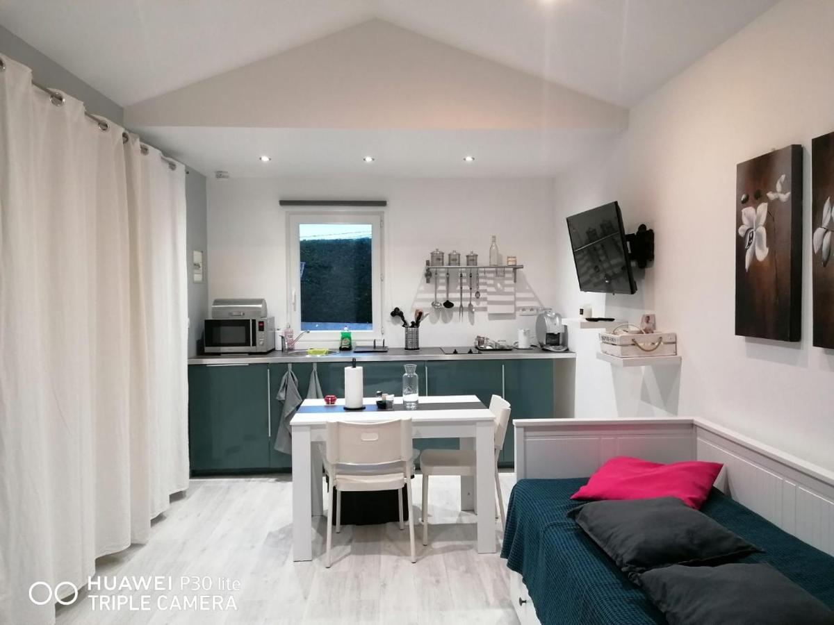 Appartamento Petit Nid Douillet Reventin-Vaugris Esterno foto
