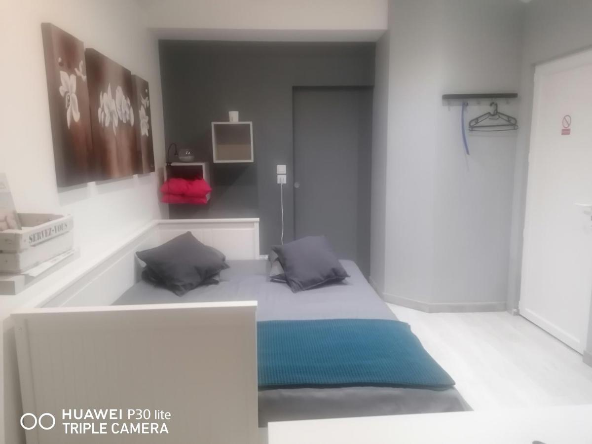 Appartamento Petit Nid Douillet Reventin-Vaugris Esterno foto